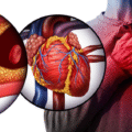Beyond the Numbers: The Cholesterol Journey in Modern Medical Science
